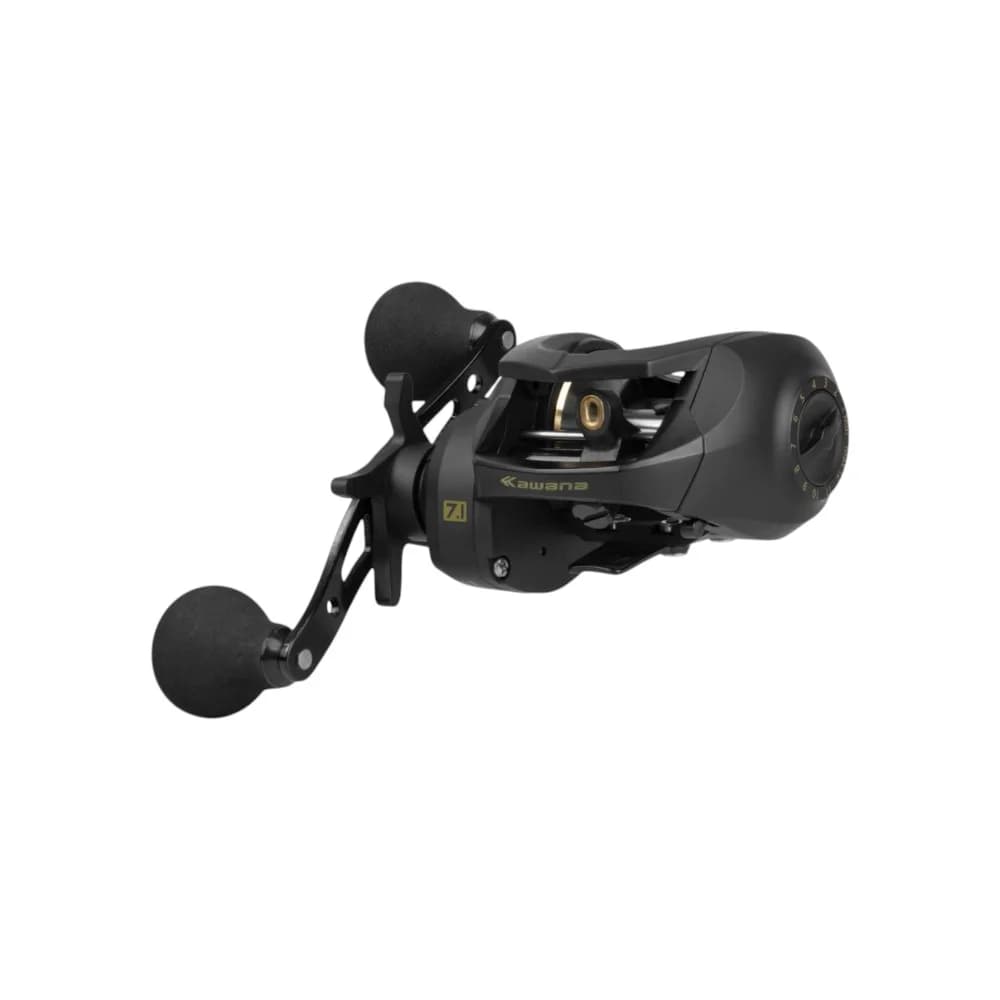 BLACK PIRA 400